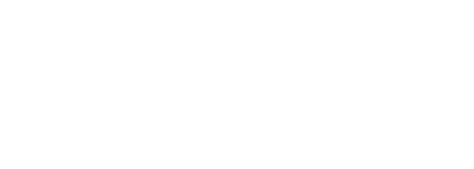 Prof Andreas Raedler